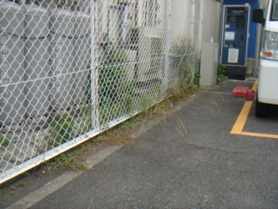 DSC02764.JPG