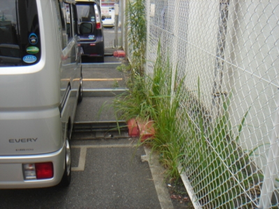 DSC02765.JPG