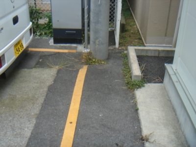 DSC02766.JPG