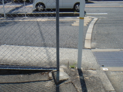 DSC02786.JPG