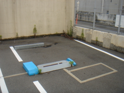 T草刈り.JPG