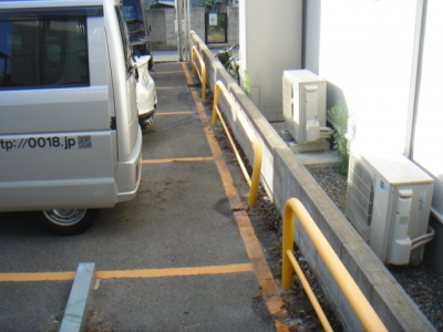さくら草2.JPG
