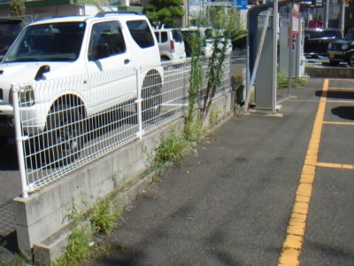 スタジアム1.JPG