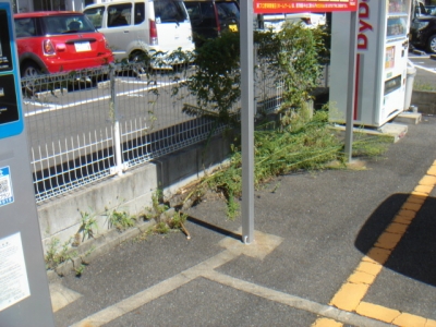 スタジアム2.JPG
