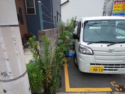 草刈り前1.JPG