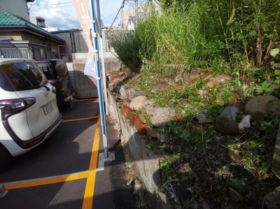 草刈り・除草剤散布4.JPG