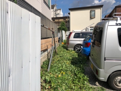 草刈り4.JPG