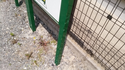 DSC_2321.jpg