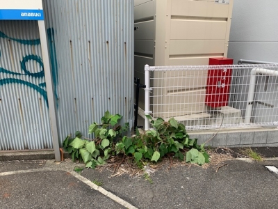 場内草刈り3.jpg