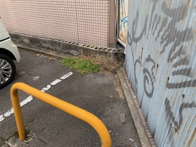 場内草刈り5.jpg