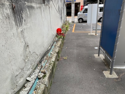 場内草刈り13.jpg