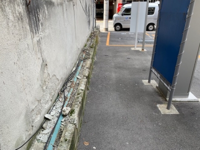 場内草刈り14.jpg