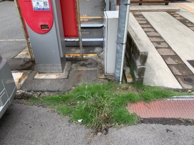 草刈り (2).jpg