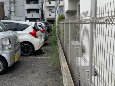 草刈り (7).jpg