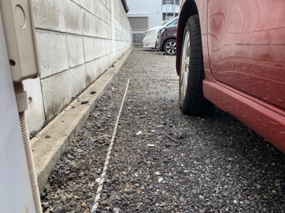 草刈り (8).jpg