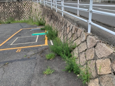 草刈り (2).jpg