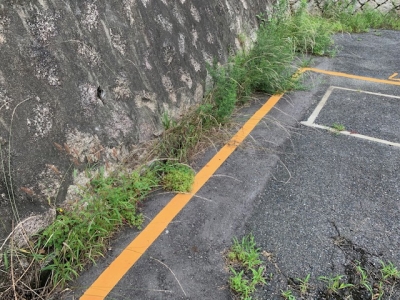 草刈り (3).jpg