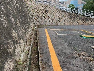 草刈り (6).jpg
