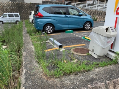 草刈り.jpg