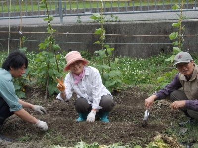 大豆の種蒔き