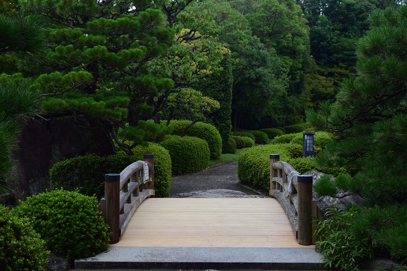 大濠公園・西公園ダイアリー