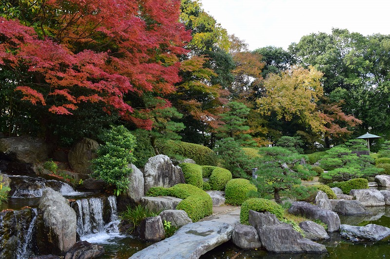 12月2日の紅葉 | 大濠公園・西公園ダイアリー