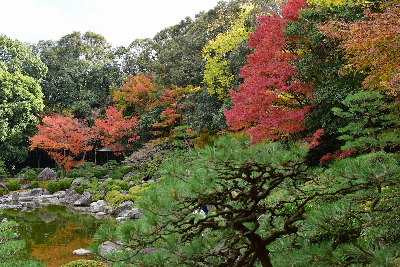 12月2日の紅葉 | 大濠公園・西公園ダイアリー