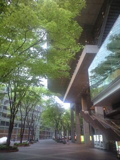 100510_1701~0001.jpg
