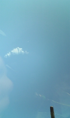 080927_080930.jpg