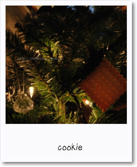 cookie.jpg