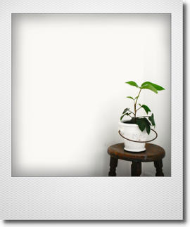 green.png