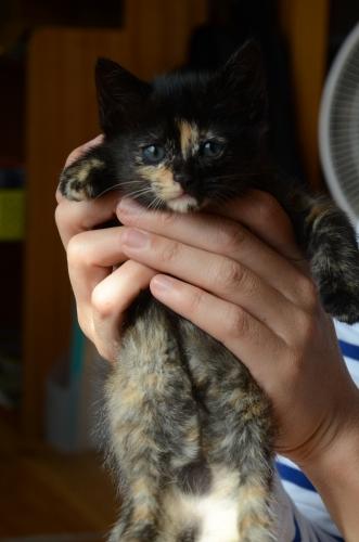 DSC_4984.JPG