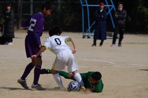 DSC_8354.JPG