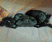 200709161826000.jpg