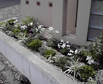 P1001160.jpg