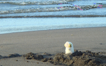 かねひろ壁紙2010/10