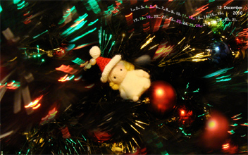 クリスマスKANちゃん