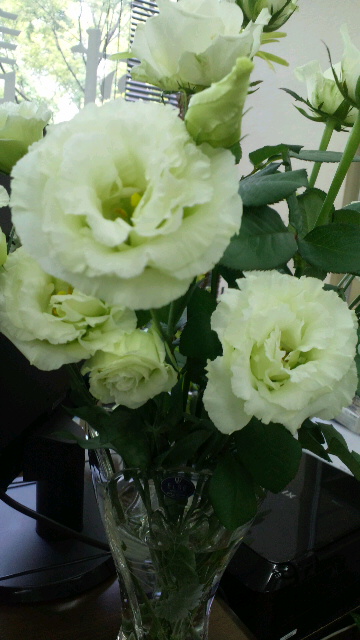 2016090610120002.jpg