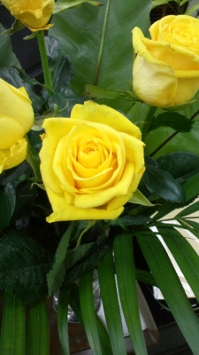 2017060401160000.jpg