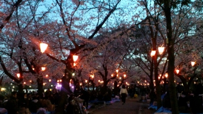 2019040401560000.jpg