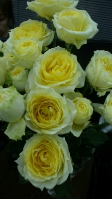 2019050108570000.jpg
