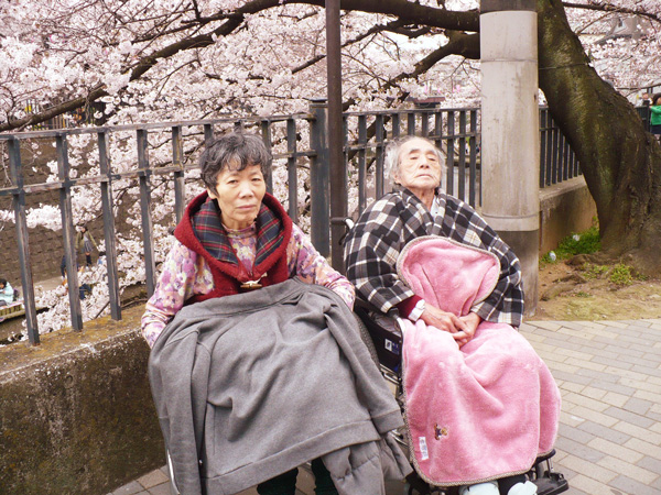 お花見ドライブ
