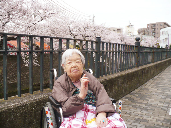 お花見ドライブ