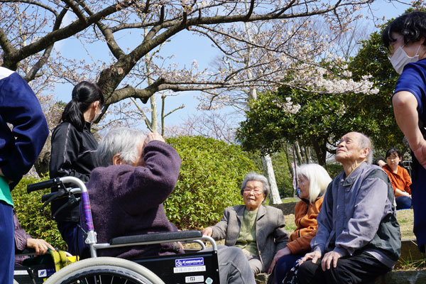 久良岐公園でお花見