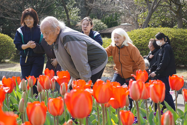 久良岐公園でお花見