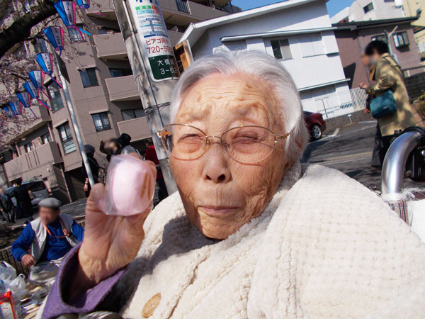 大岡川で桜の花見