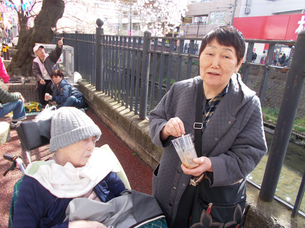 大岡川で桜の花見