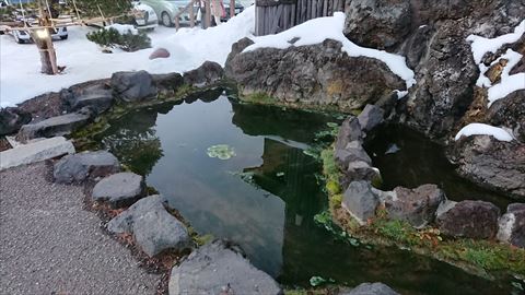 DSC_9454_R.JPG