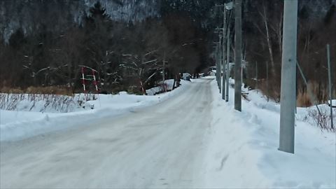 DSC_9461_R.JPG