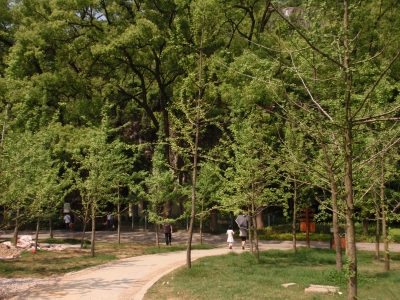 緑あふれる七星公園